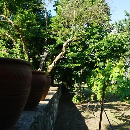 Kavet Palio Nyaraló